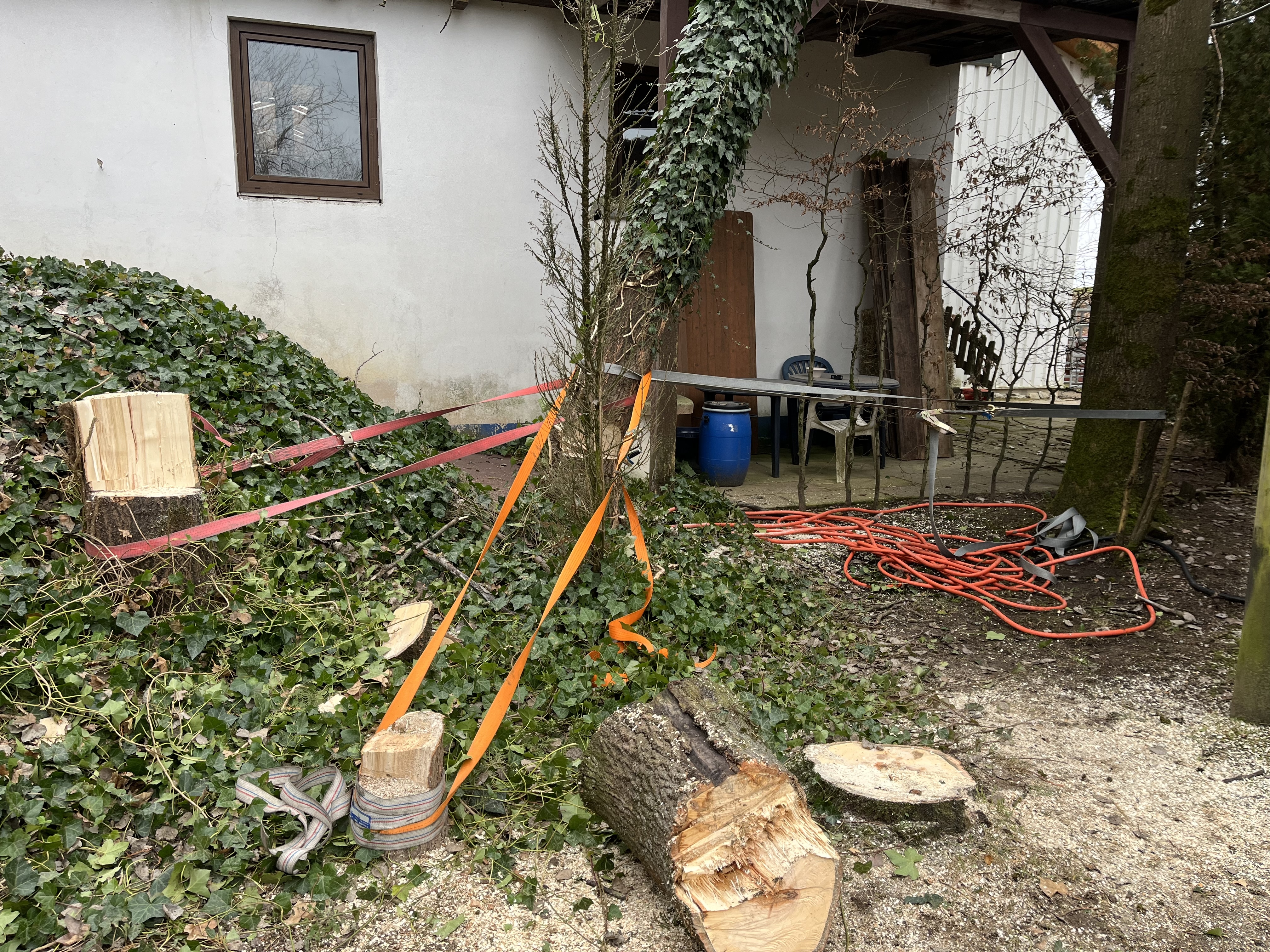 25-02-06 15-36-20 6892.jpg